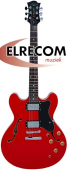 hollow body gitaar